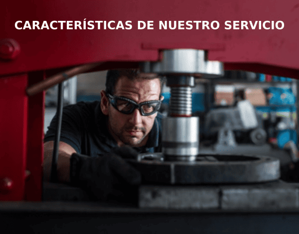 caracteristicas de nuestro servicio